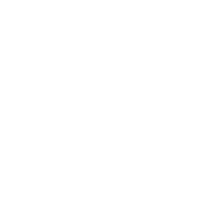 Icone connexion